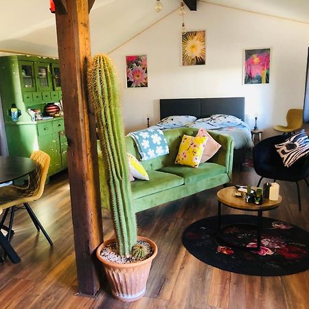 B &B Yuupke Maasbree Noord-Limburg Venlo Roermond Bed and Breakfast Εξωτερικό φωτογραφία