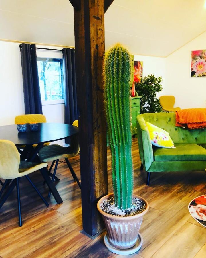 B &B Yuupke Maasbree Noord-Limburg Venlo Roermond Bed and Breakfast Εξωτερικό φωτογραφία