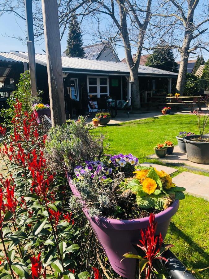 B &B Yuupke Maasbree Noord-Limburg Venlo Roermond Bed and Breakfast Εξωτερικό φωτογραφία
