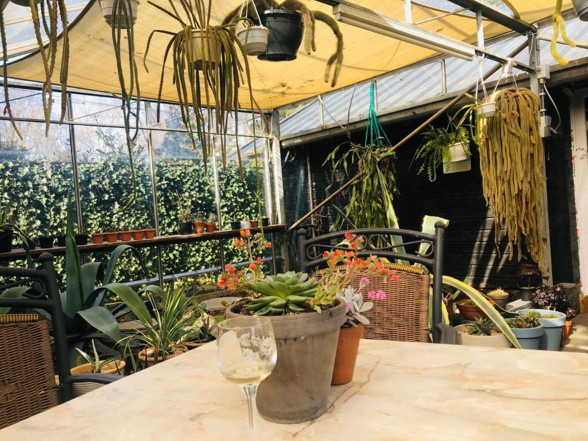 B &B Yuupke Maasbree Noord-Limburg Venlo Roermond Bed and Breakfast Εξωτερικό φωτογραφία