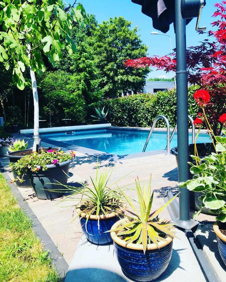 B &B Yuupke Maasbree Noord-Limburg Venlo Roermond Bed and Breakfast Εξωτερικό φωτογραφία
