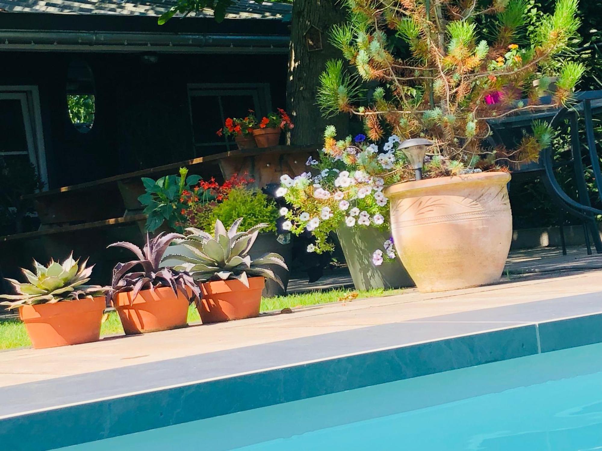 B &B Yuupke Maasbree Noord-Limburg Venlo Roermond Bed and Breakfast Εξωτερικό φωτογραφία