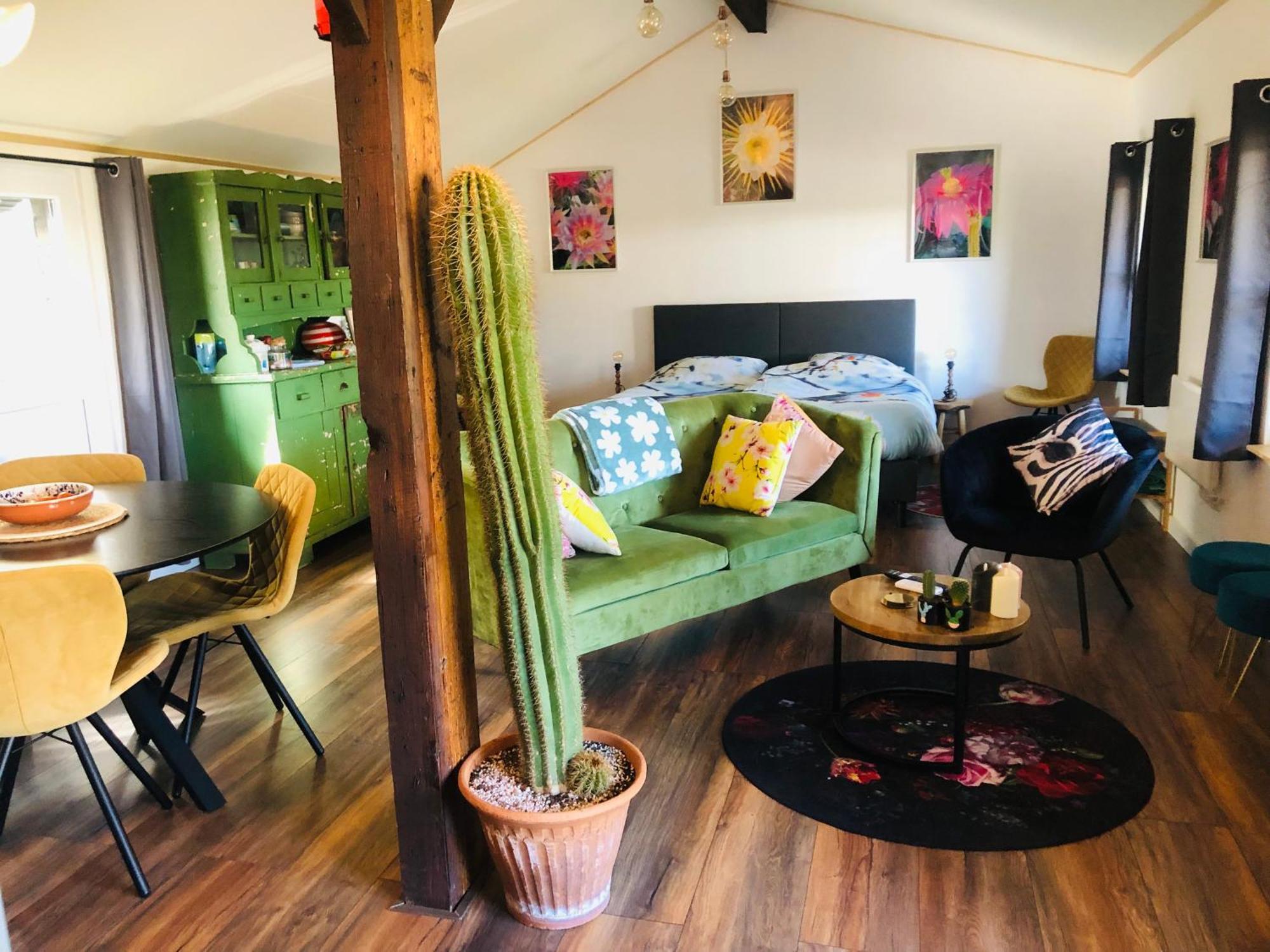 B &B Yuupke Maasbree Noord-Limburg Venlo Roermond Bed and Breakfast Εξωτερικό φωτογραφία