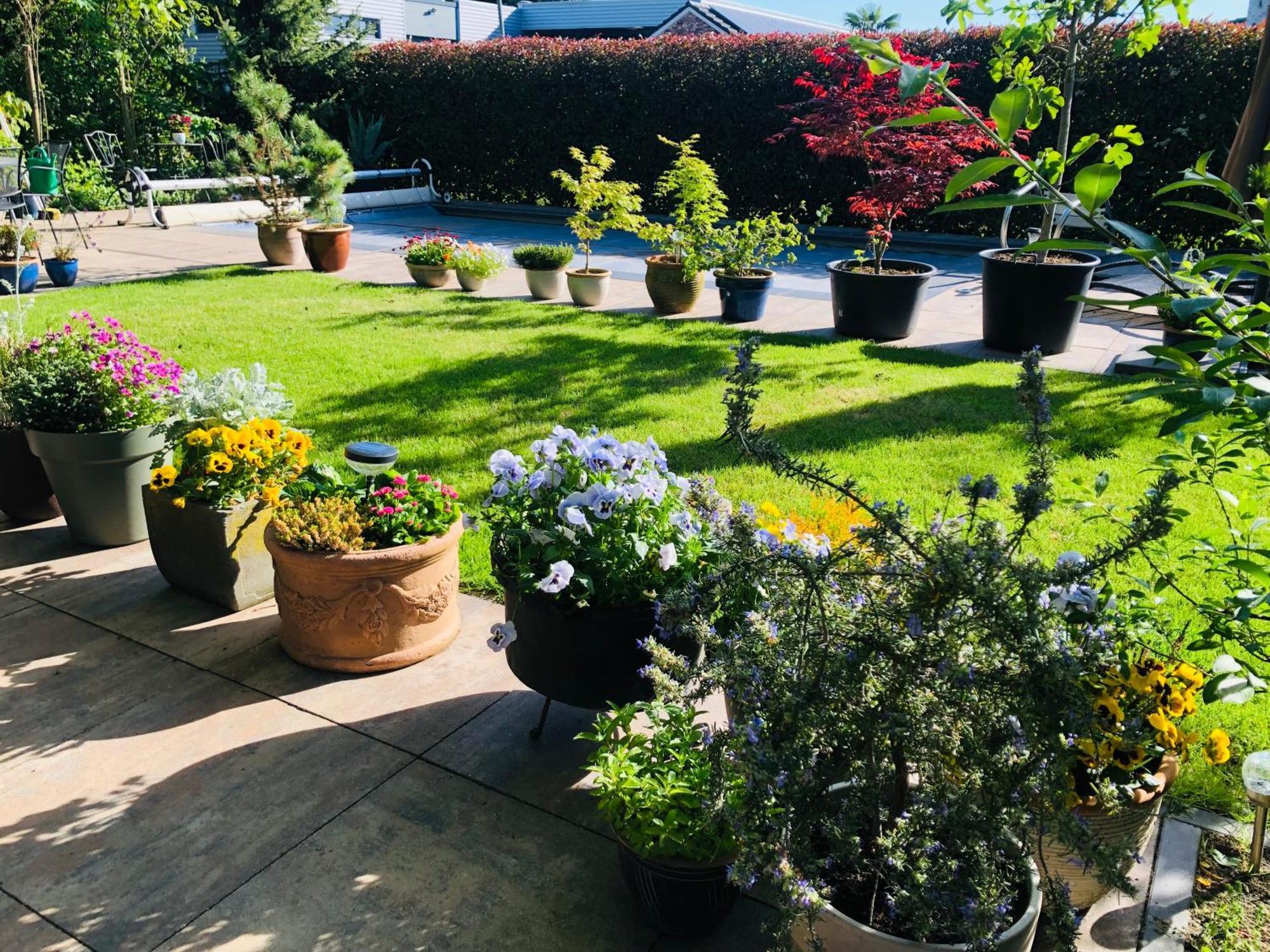 B &B Yuupke Maasbree Noord-Limburg Venlo Roermond Bed and Breakfast Εξωτερικό φωτογραφία