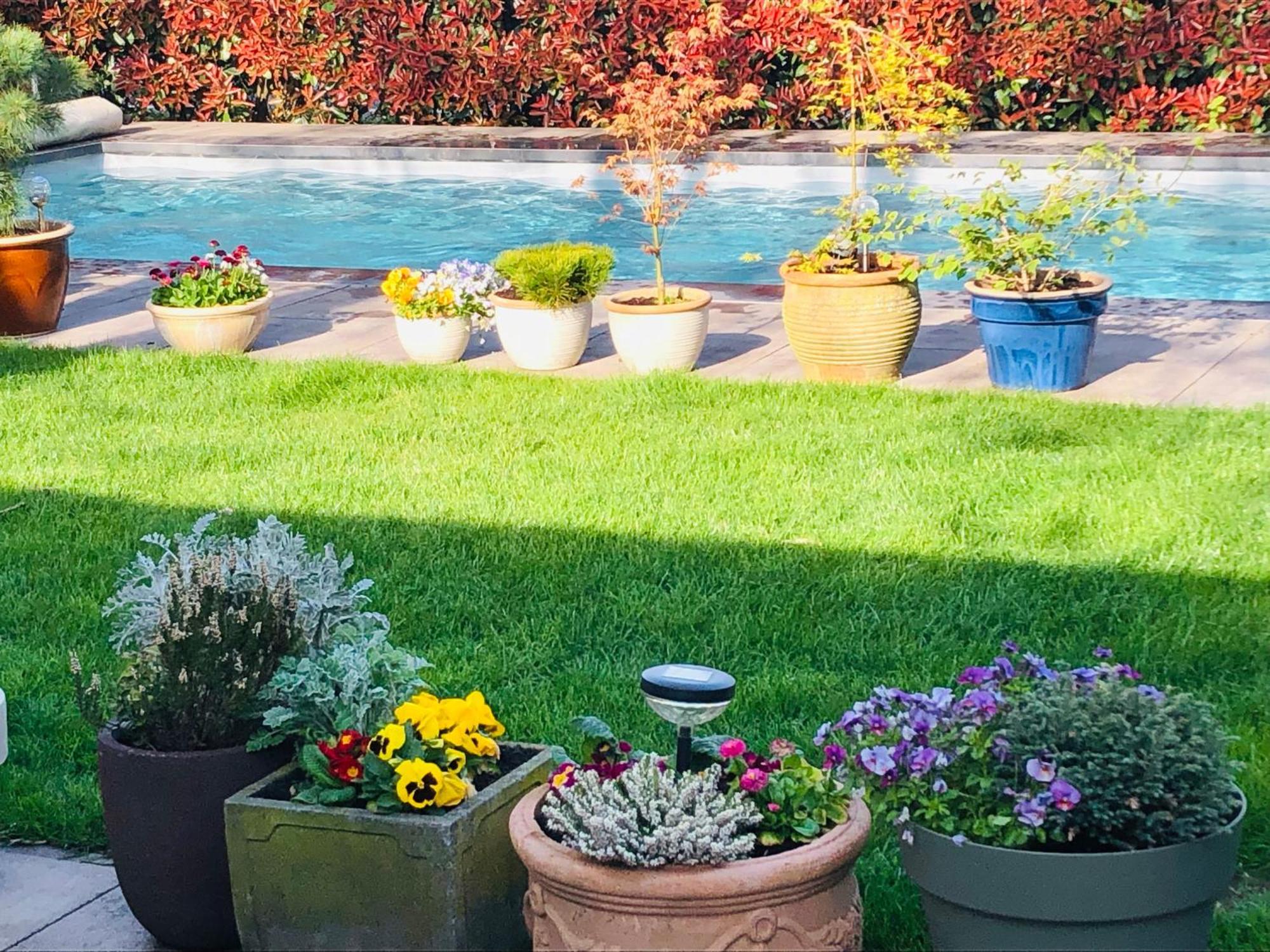 B &B Yuupke Maasbree Noord-Limburg Venlo Roermond Bed and Breakfast Εξωτερικό φωτογραφία